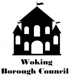 Local Search for Woking Borough Council